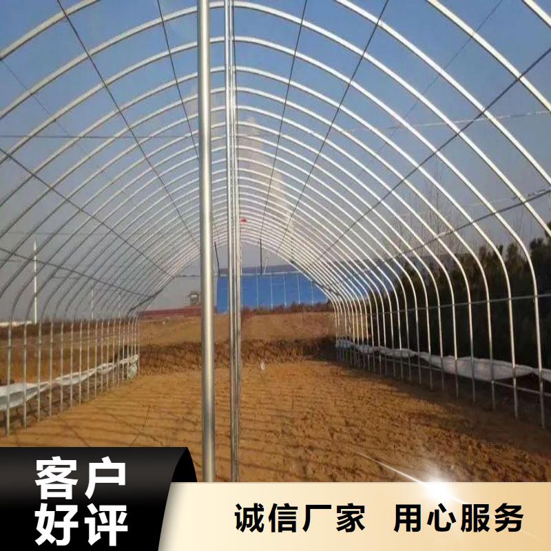 棗強縣溫室水培系統聯系電話源廠直銷