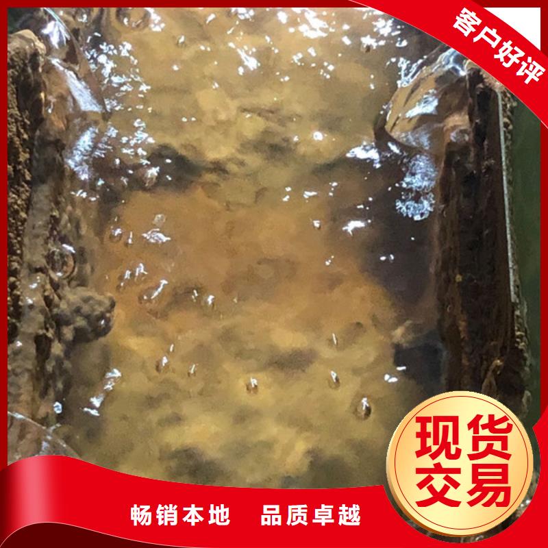 洗沙白藥為品質(zhì)而生產(chǎn)