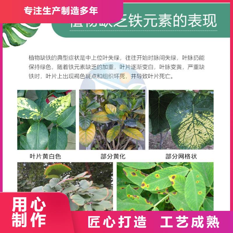 魚塘硫酸亞鐵廠家現貨直發來圖加工定制