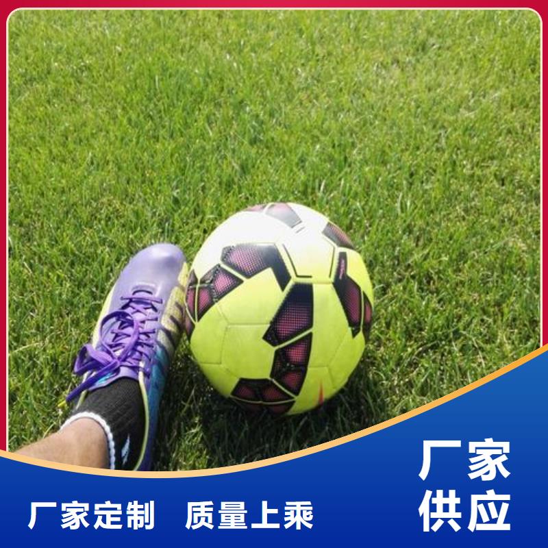 【塑膠跑道】_硅PU網球運動場設備齊全支持定制免費寄樣