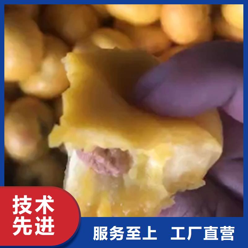 桃藍(lán)莓苗實(shí)力派廠家{本地}生產(chǎn)商