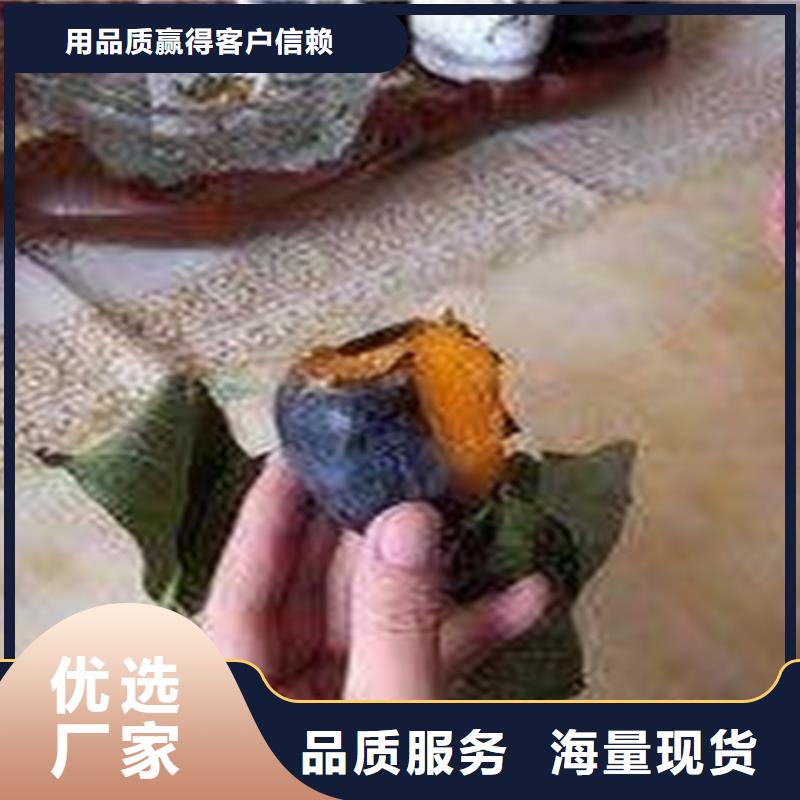 柿子_石榴苗口碑好實力強主推產品