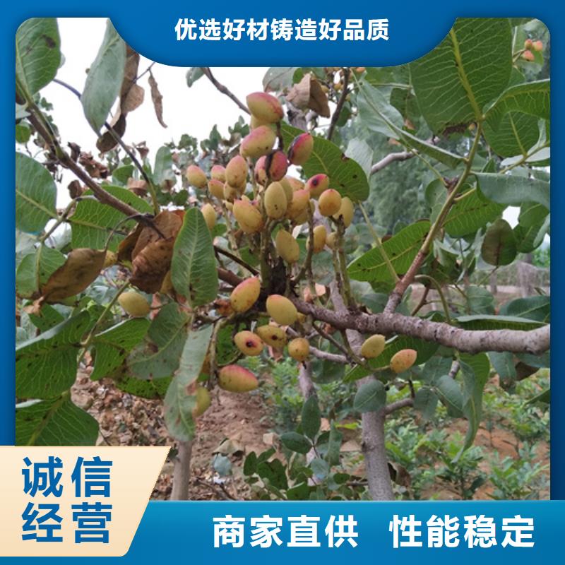 開心果西瓜苗以質(zhì)量求生存當(dāng)?shù)毓?></div>
				<h3>開心果西瓜苗以質(zhì)量求生存當(dāng)?shù)毓?/h3> 
								
            </a>
        </li>
				        <li>
            <a href=