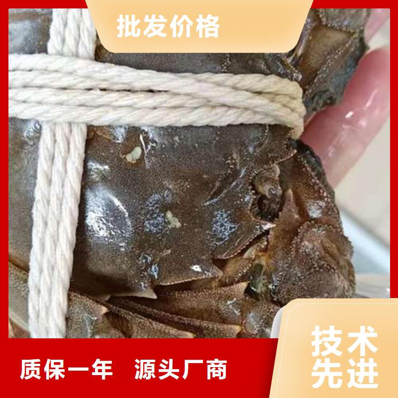 供應陽澄湖大閘蟹的公司應用范圍廣泛