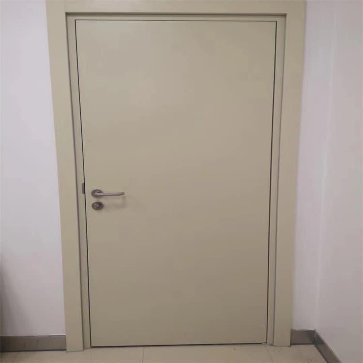 射线屏蔽铅门价格