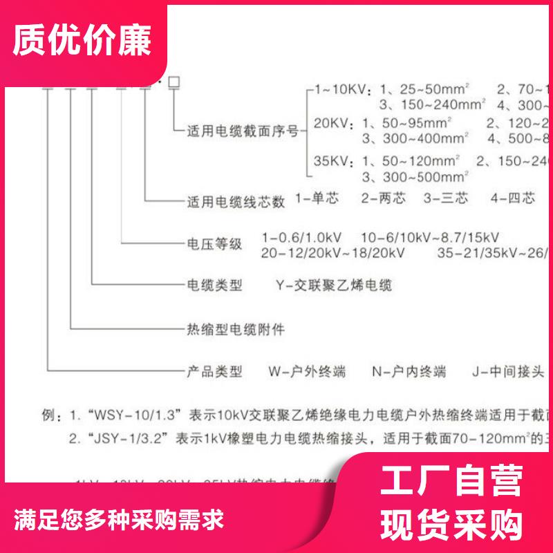 【】冷縮電纜終端頭LSN-10/3.3【本地】生產(chǎn)商