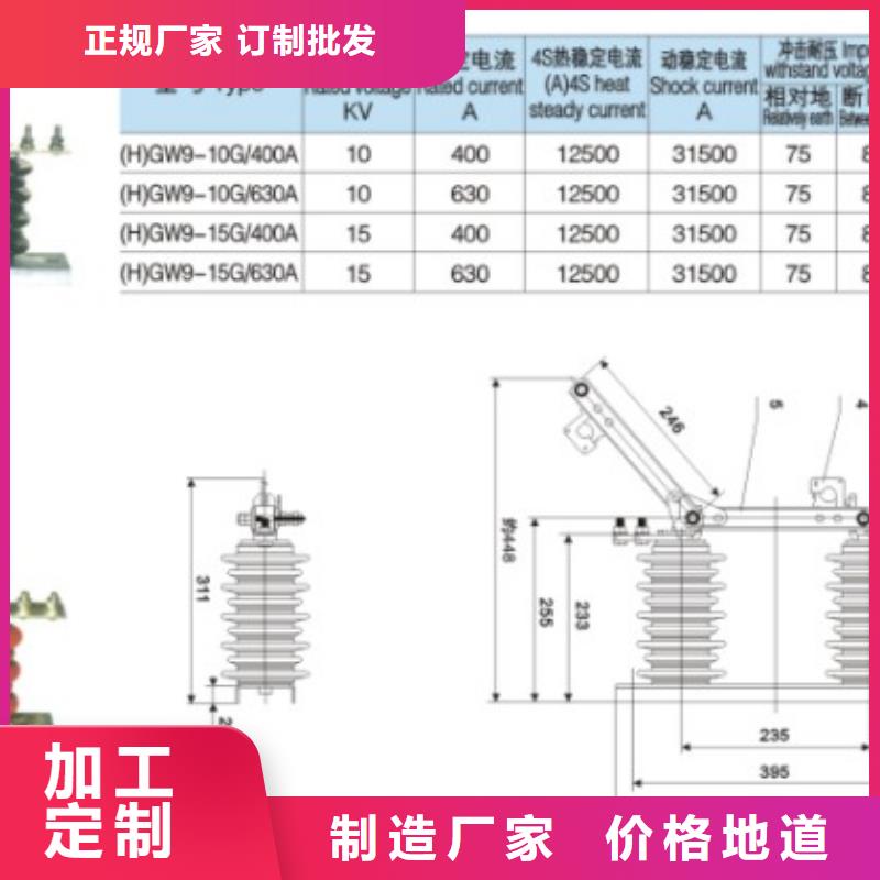 戶外高壓交流隔離開關：HGW9-10W/200A了解更多【當地】供應商