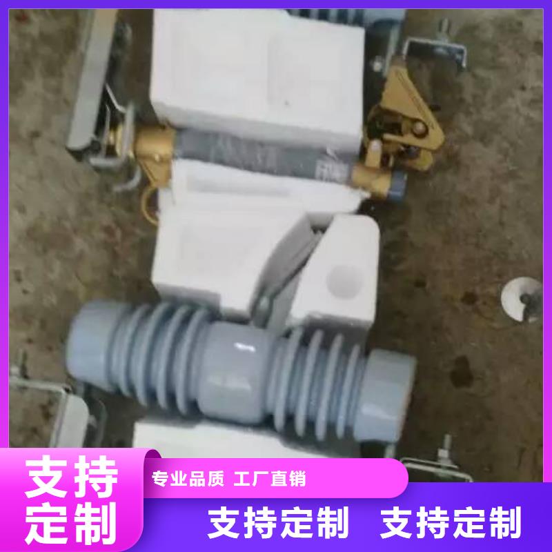 熔斷器跌落式熔斷器廠家不只是質(zhì)量好專注細節(jié)專注品質(zhì)