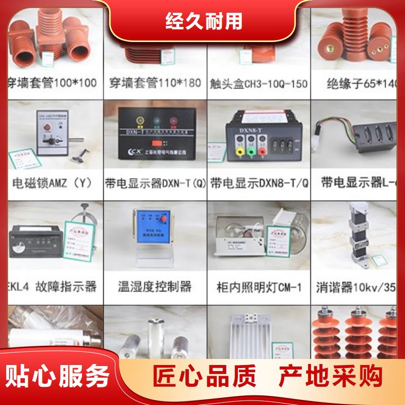 【隔離開關】GW5A-110IIDW/400A專業生產制造廠