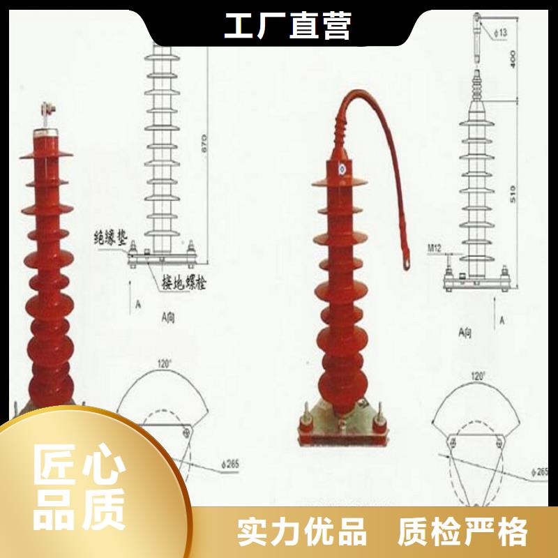 【羿振】避雷器YH5WS1-10/30同城供應商