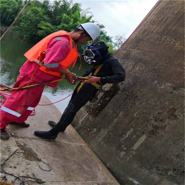 扬州市水下探摸录像公司-水下救援队