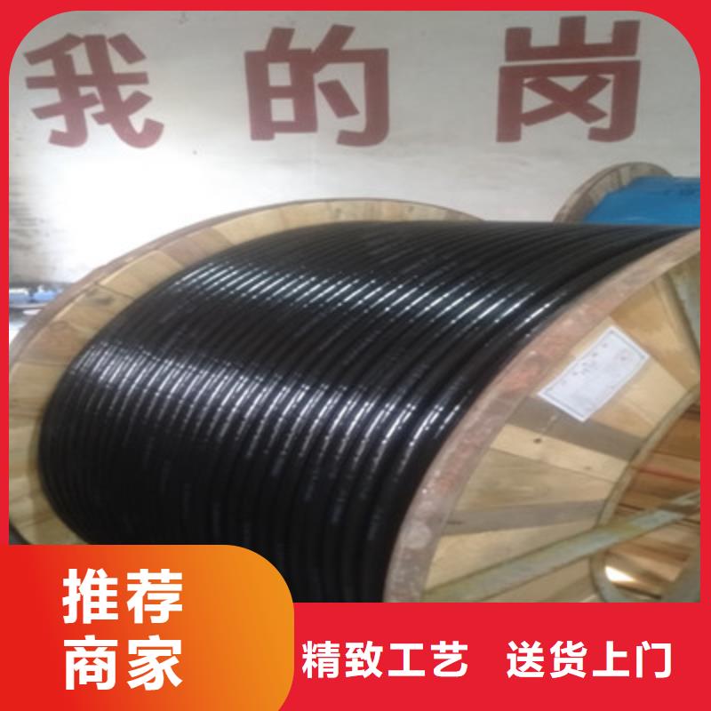 ZRA-HSGWPP22鎧裝網線2X5L5對1.5發(fā)貨及時