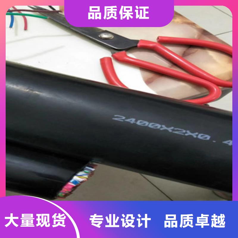 BELDEN-YJ29560通訊電纜3X0.3<本地>品牌