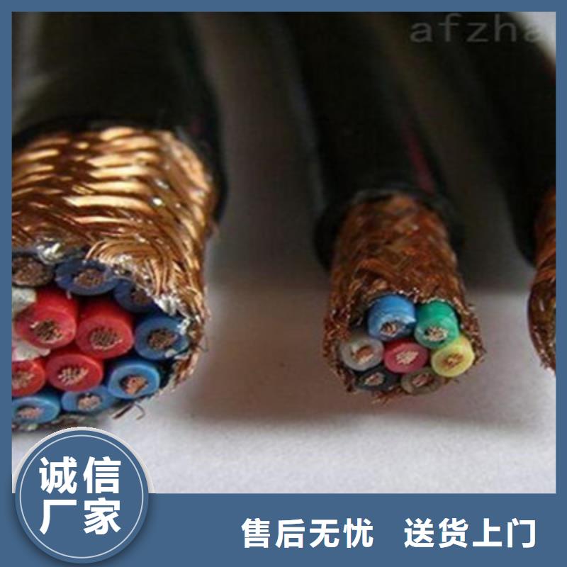 計算機(jī)屏蔽電纜DJYJVP3-2216X2X1.0質(zhì)量好