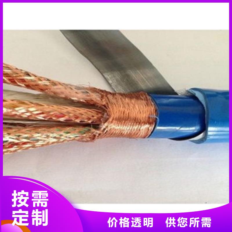 耐高溫電纜_屏蔽電纜型號齊全匠心打造