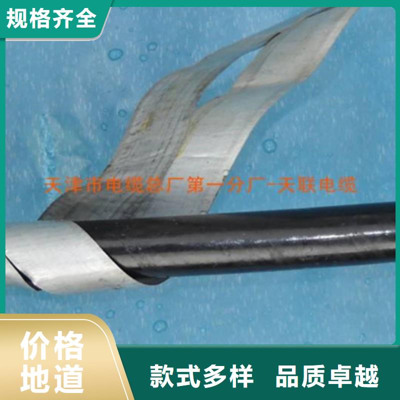 鐵路信號電纜-電纜生產廠家優良材質供應采購