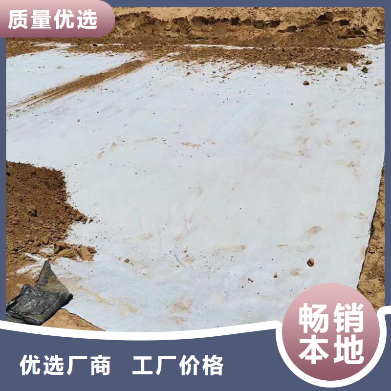 【膨潤土防水毯-防水板細節(jié)之處更加用心】{本地}廠家