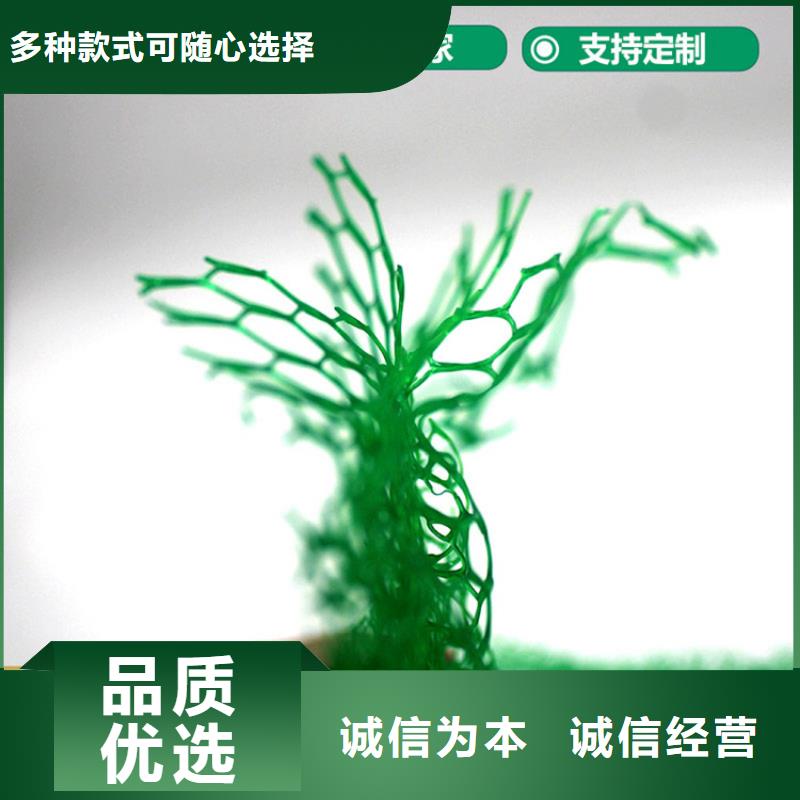 三維植被網,螺旋管自有廠家精挑細選好貨