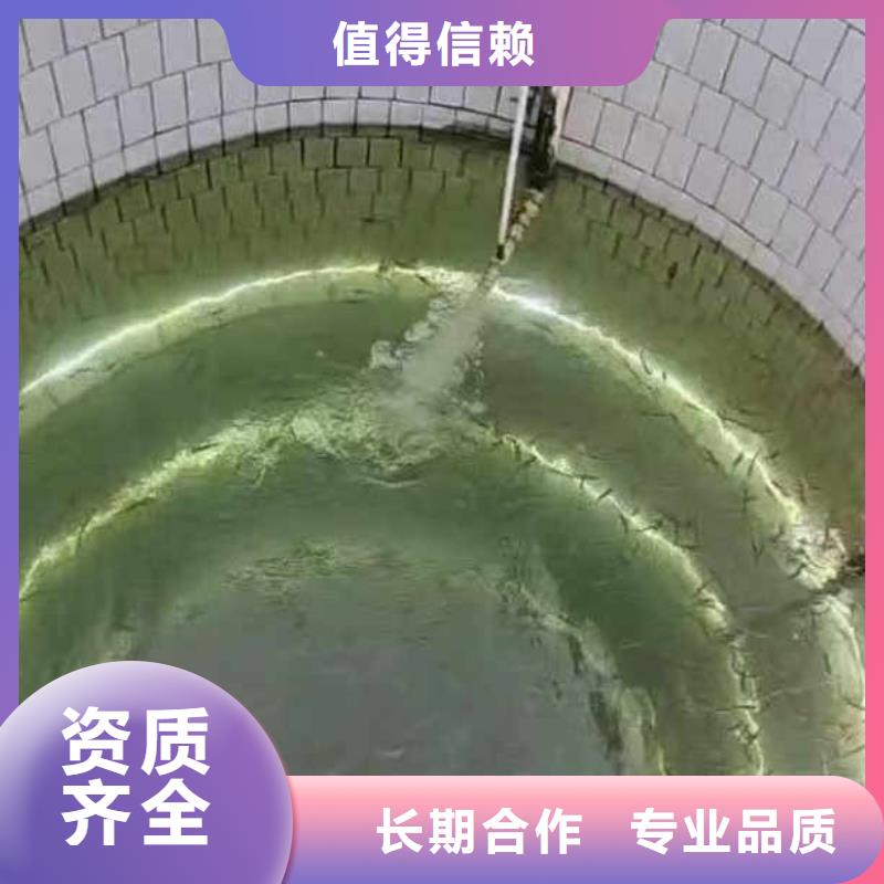 水中打樁詢問報價浪淘沙水工講究信譽