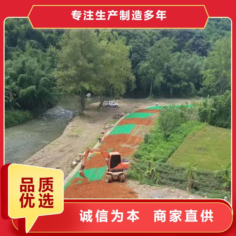 三維植被網,止水銅片廠家廠家規格全【本地】廠家