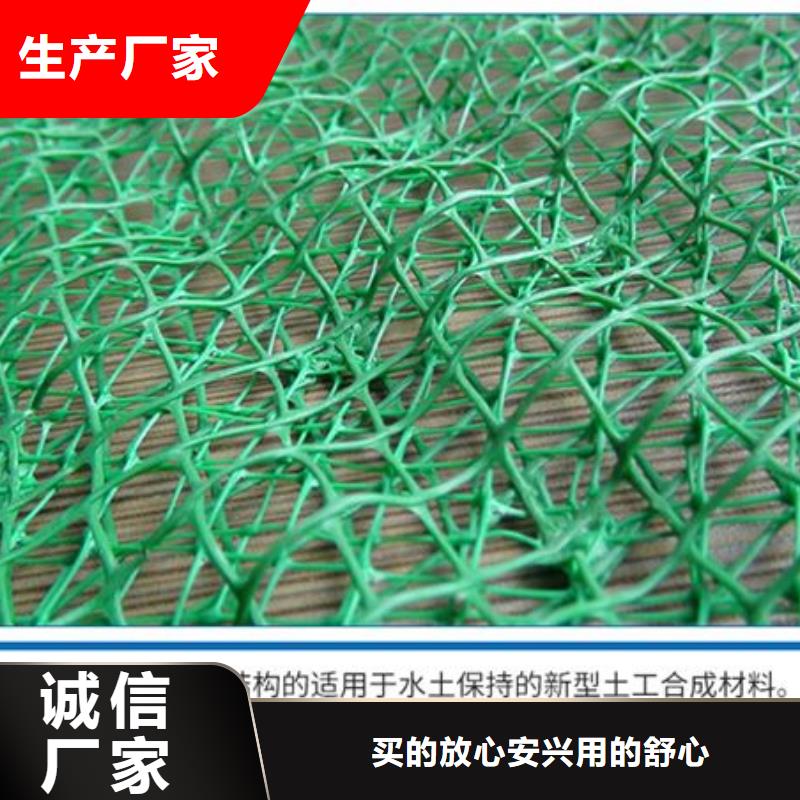 【三维植被网_聚丙烯纤维多种优势放心选择】当地生产商