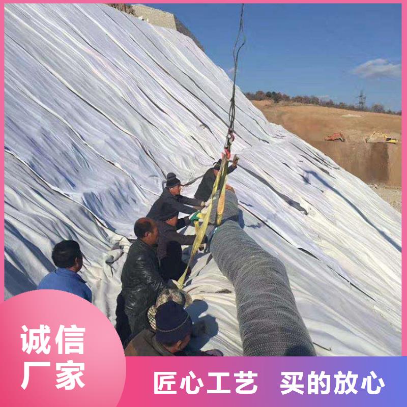 【膨润土防水毯,塑料格栅材质实在】当地经销商