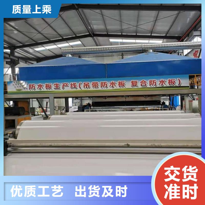 防水板【双向土工格栅】放心选购商家