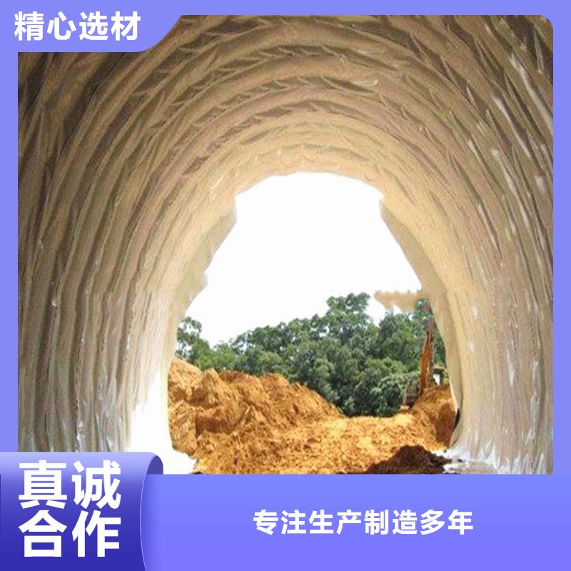 防水板【玻纤土工格栅】产品优势特点当地生产厂家