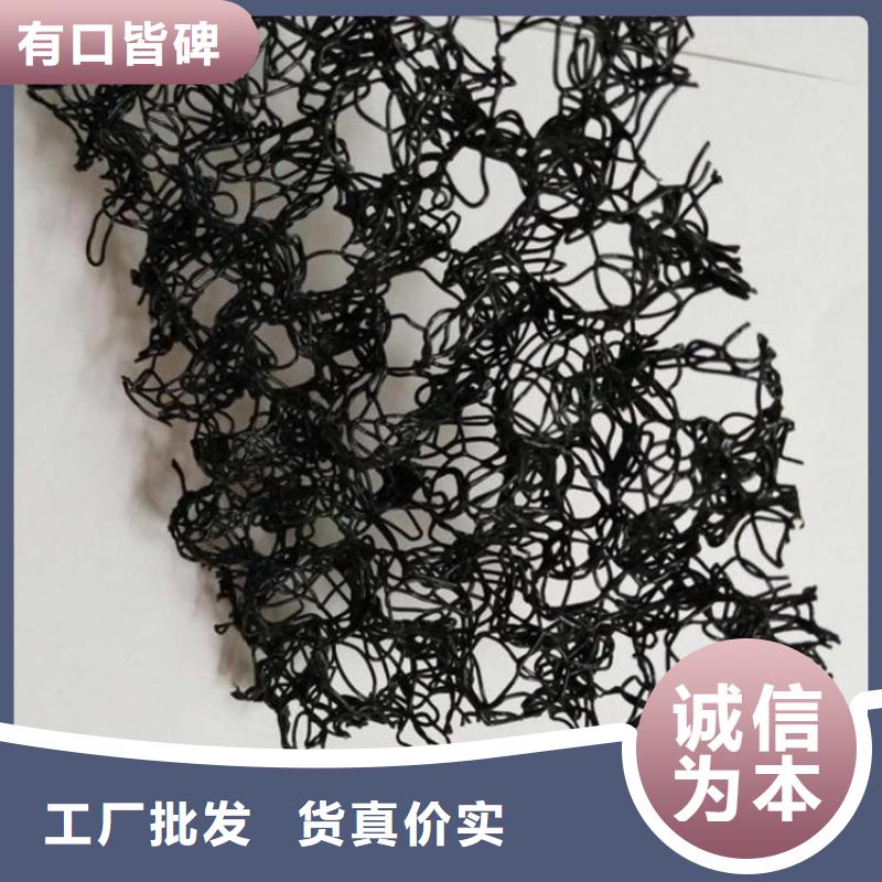 水土保護(hù)毯HDPE土工膜用好材做好產(chǎn)品<本地>供應(yīng)商