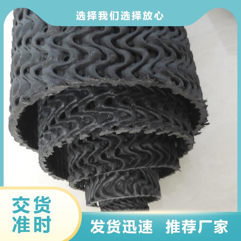硬式透水管三维植被网放心购有口皆碑