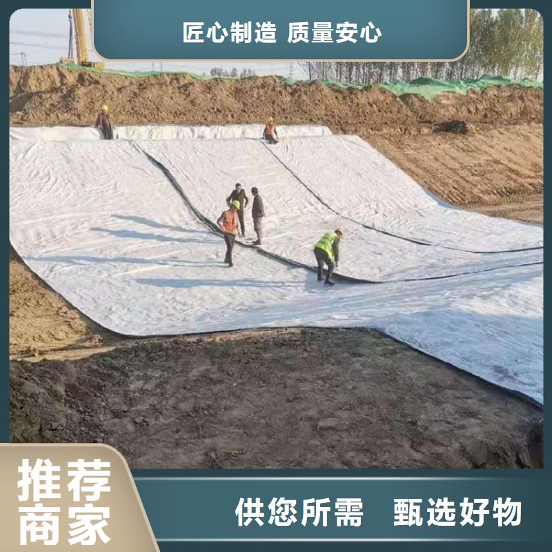 膨润土防水毯-【玻纤土工格栅】超产品在细节定制定做