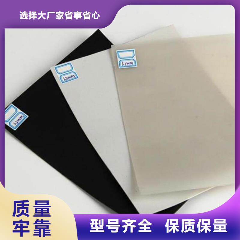 防水板HDPE土工膜支持定制加工产品细节