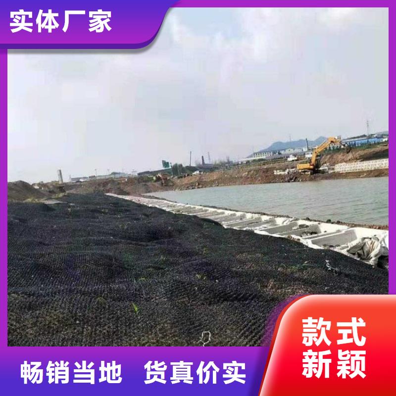 水土保护毯_通风降噪丝网精心选材同城货源