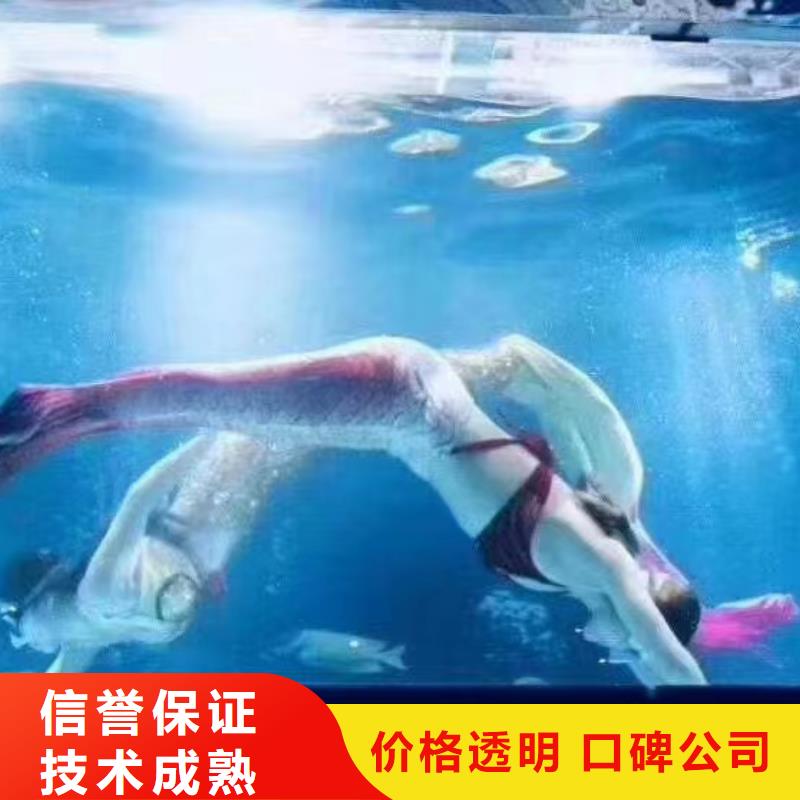 海獅表演租賃實力強有保證