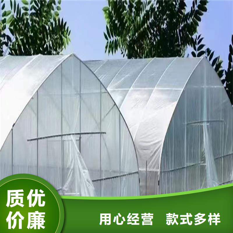 左貢縣羊肚菌木耳大棚源頭廠家2025+全國配送真正的源頭廠家