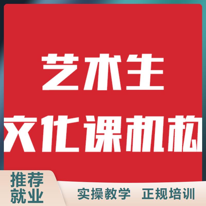 縣
藝考文化課沖刺班
哪家好？
實(shí)操培訓(xùn)