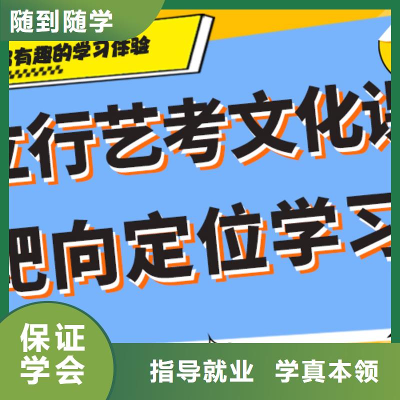 藝術(shù)生文化課高考輔導(dǎo)機(jī)構(gòu)師資力量強(qiáng)理論+實(shí)操