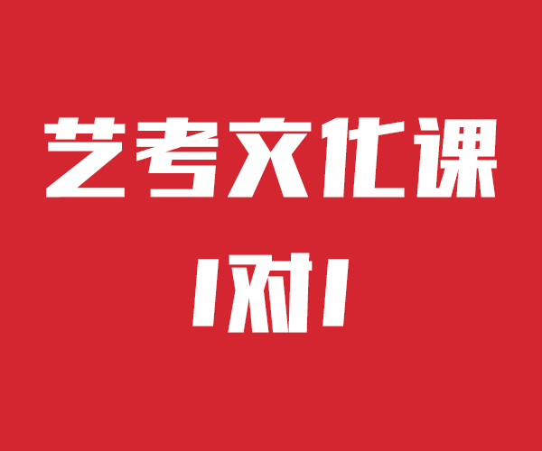 藝考文化課高考全日制手把手教學