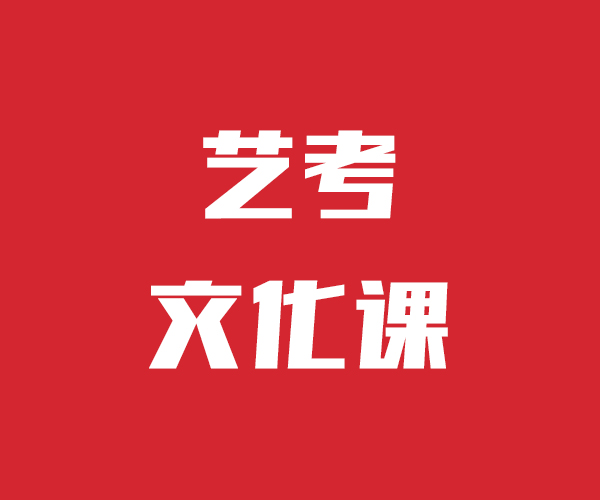 藝考文化課高考語(yǔ)文輔導(dǎo)專業(yè)齊全