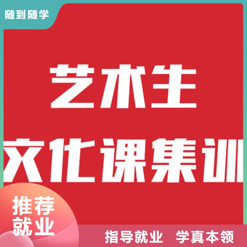 藝術生文化課補習有沒有在那邊學習的來說下實際情況的？正規培訓