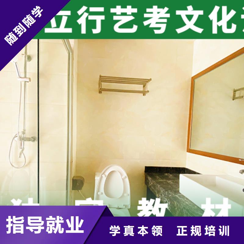 艺考文化课培训高考全日制老师专业学真技术