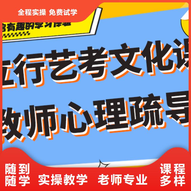 藝術生文化課培訓機構有哪些個性化教學<本地>生產廠家