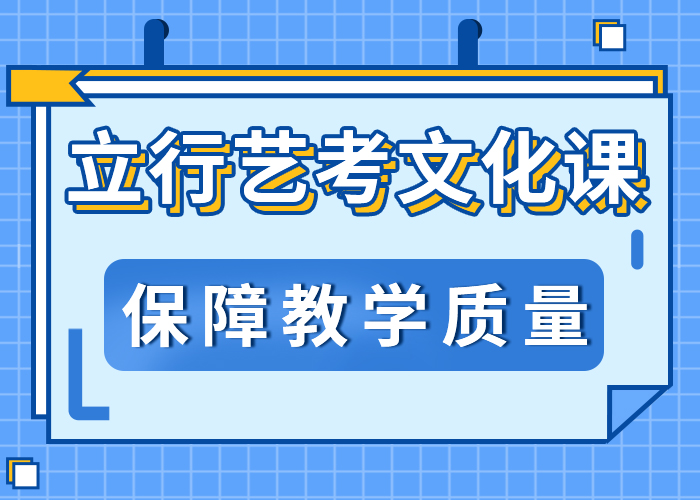 艺考文化课集训【高中一对一辅导】理论+实操