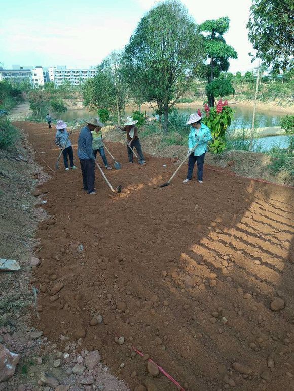 土壤固化道路基础沙土固化剂价格实惠