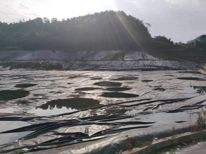 淤泥原位固化景觀池藍藻污染水體處理供應商