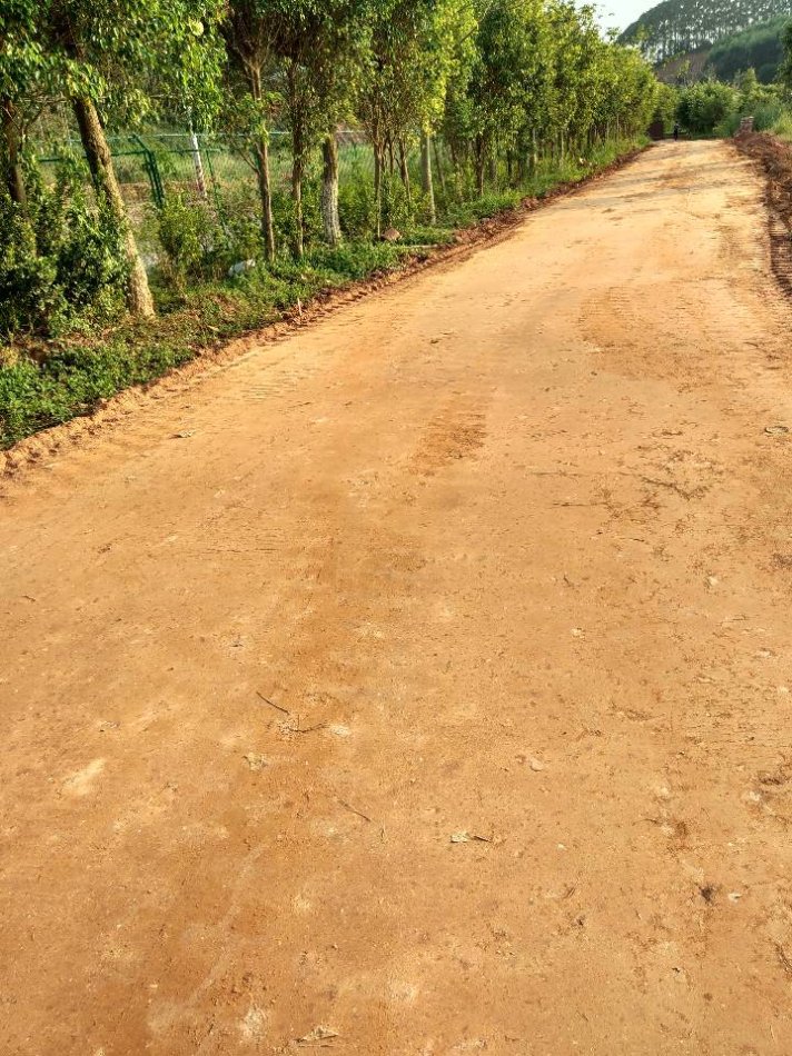 淤泥原位土壤固化淤泥固化劑全國發貨